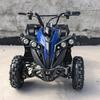 Călătorii cu copiii – Biciclete fără pedale și velomobile