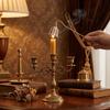 Vintage Flower Candle Extinguisher Exquisite Candle Wick Smotherer Candle Snuffer  Hotel