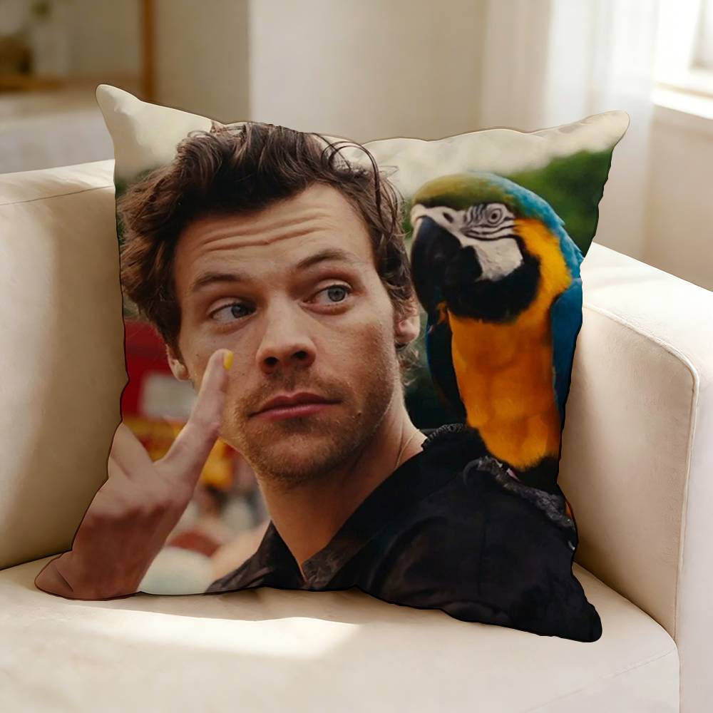 British Pop SingerSongwriter HHarry SStyles Square DoubleSided printed Pillow Case Bedroom Bedside Pillow Sofa Cushion Cover