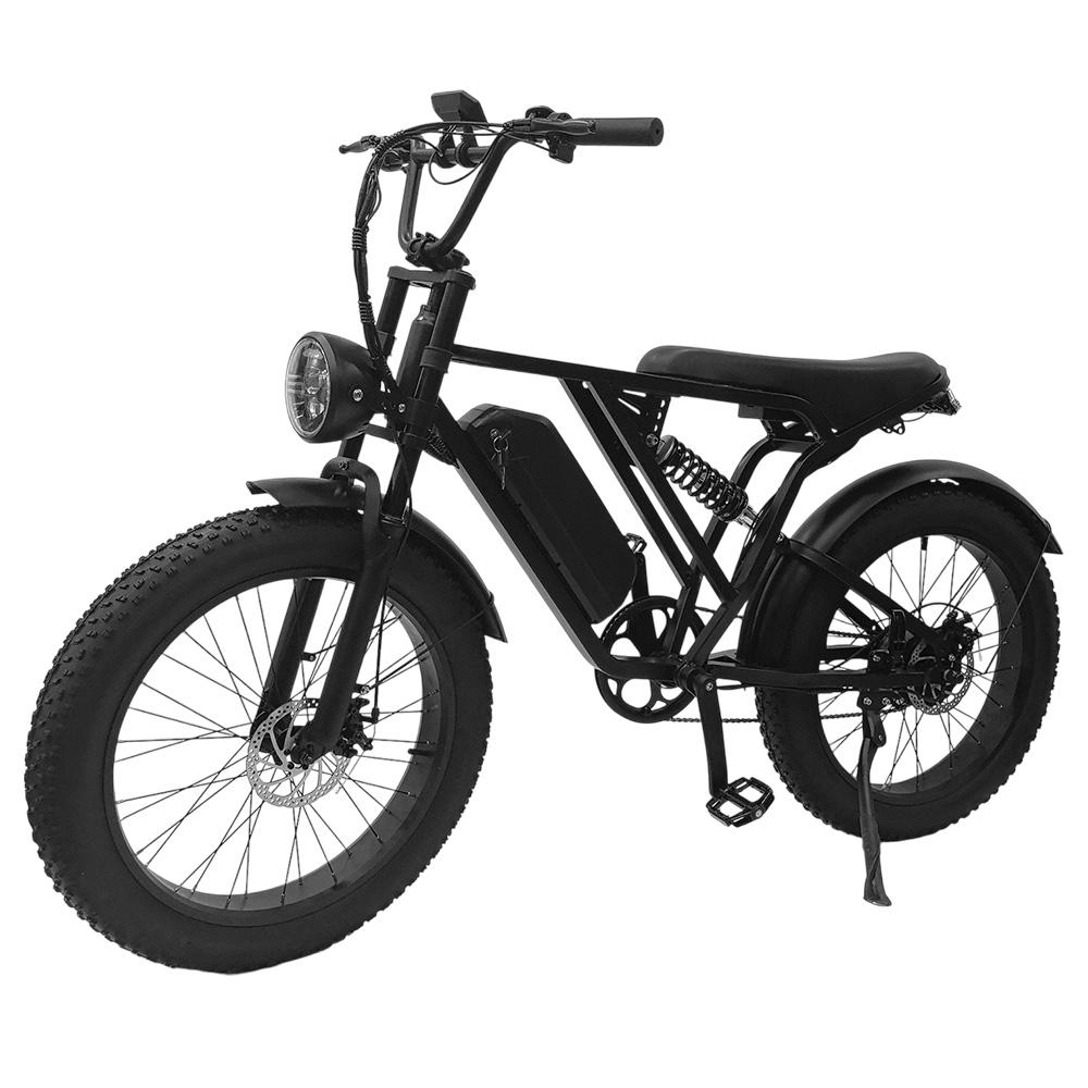 YANGOR Y-24 Electric Bike, 250W Motor, 48V 20AH Battery, 24*4.0-inch Tire, 42km/h Max Speed, 120km Max Range