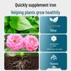 Ferrous Sulfate Fertilizer for Acid-Loving Plants: Gardenia, Camellia, Azalea, Osmanthus - Water-Soluble, Anti-Yellow Leaves.