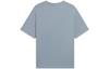 Li Ning Sports Life Collection T Shirts Men's Cyan Brick Gray Crew Neck Moderate Straight Fit AHSS765-4