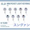 [USED] SEVENTEEN MD Mini Image Picket Key Ring Seungkwan