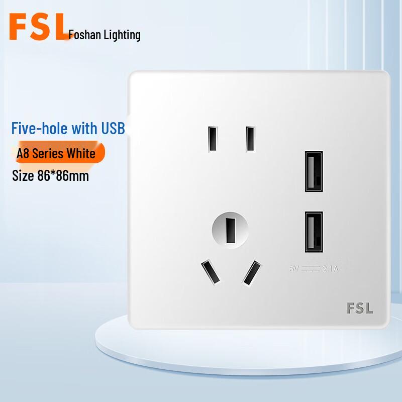 Foshan Lighting A8 White USB Wall Socket