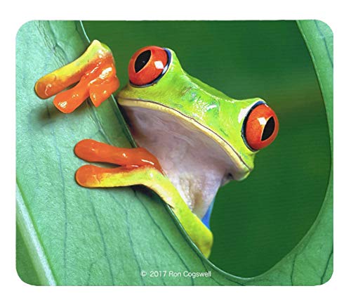 

Red-eyed Tree Frog Mouse Pad 2: Photo Pad (Frogs of the World Series) (C)
