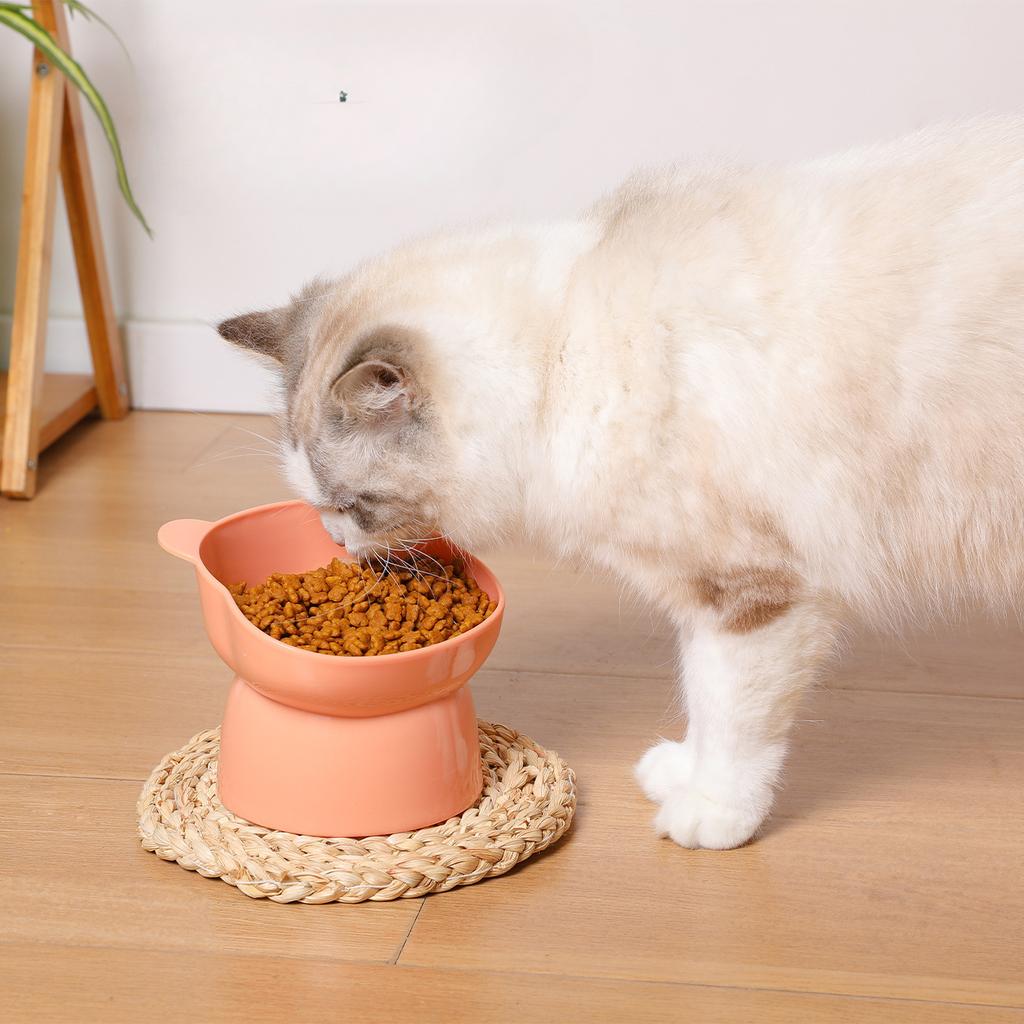 Dog Bowl  Cat Bowl  Nordic Style Neck Protection Cat Food Bowl  Tilted Tall Cat Bowl  Cartoon Anti-knock Over Pet Bowl  New Style