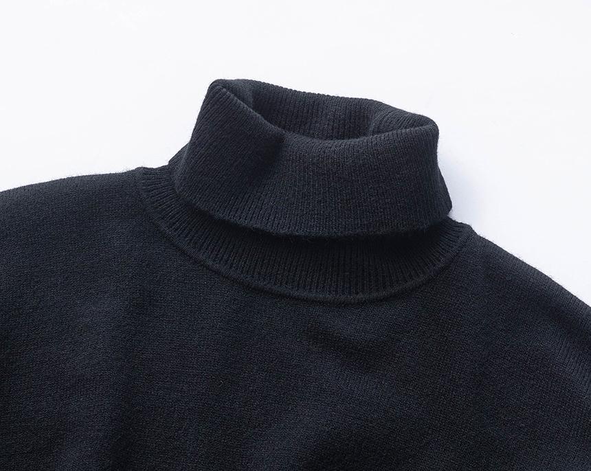Beullumeol Pbt Wool Turtleneck Knit - Black