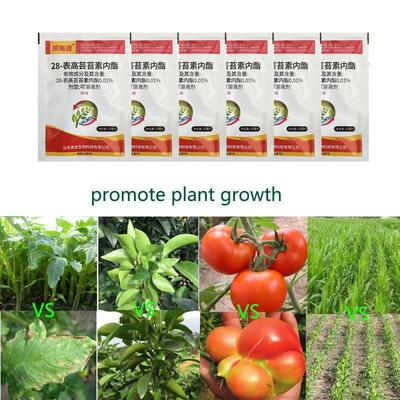 Drought Resistance Antifreeze High Temperature Resistance Plant Growth Regulator Vegetable Fruit Tree Increase Output Growth Regulator