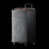 Newmine N520 12-inch Portable Outdoor Karaoke Trolley Speaker