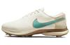Air Zoom Victory Tour 2 Sail Washed Teal Weit DM9931-141