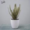 Oulifei Premium Artificial Tropical Succulent Cactus Bonsai for Home Decor