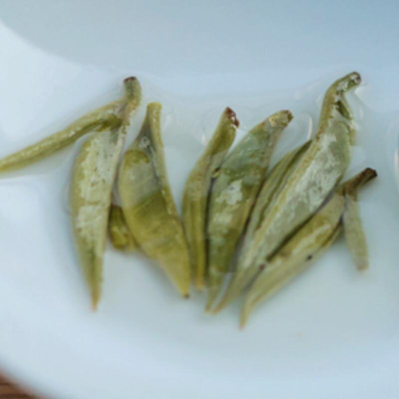 Yunnan Organic Bi Luo Chun Green Tea Pre-Ming Spring Select 250g