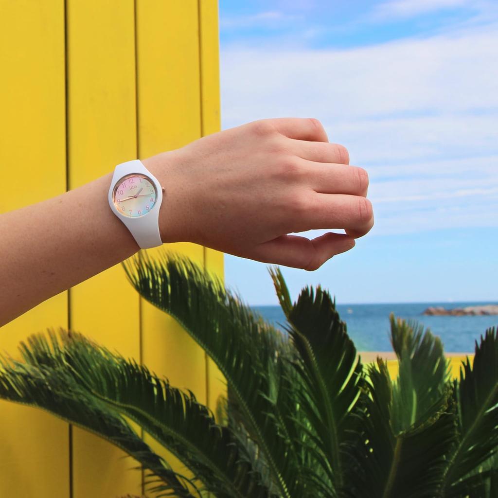 Authorized Distributor Ice Watch Wristwatch 015743 ICE Sunset Rainbow Small [Ice Watch] Women's