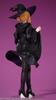 Nikkan Girl Exhibitionist Witch Roar 1/4 Scale Painted Complete Figure