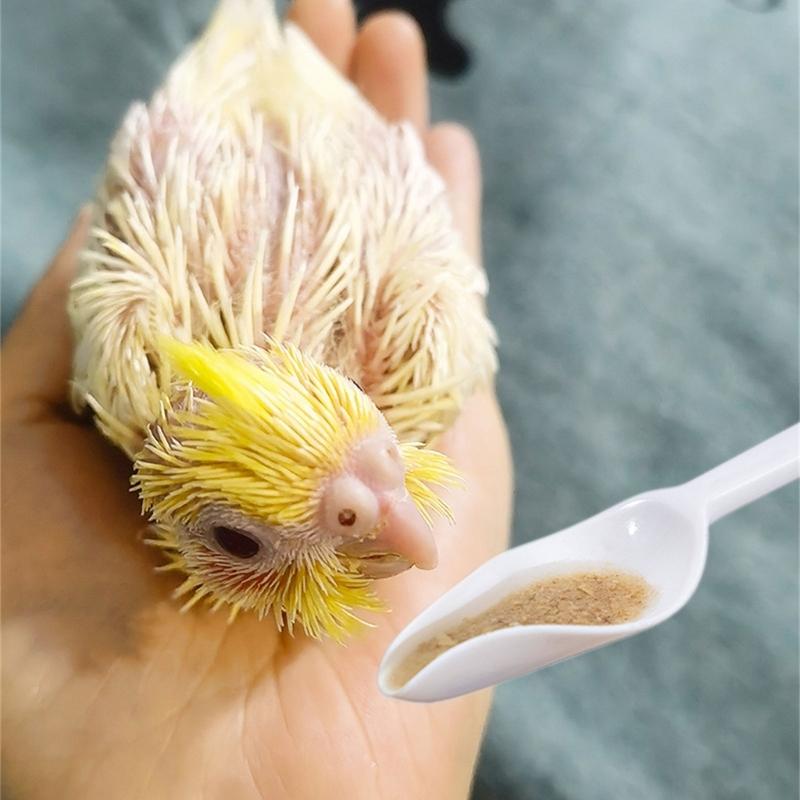 Pointed Bird Feeder Spoons Parrots Feeding Scoops- Beak-Imitation Cockatiel Milk Feed Liquid Diet Bird Feeding