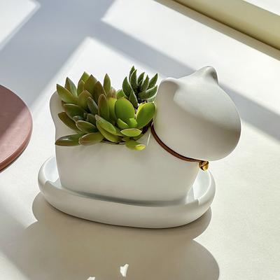 Decoración para el hogar
– Macetas decorativas