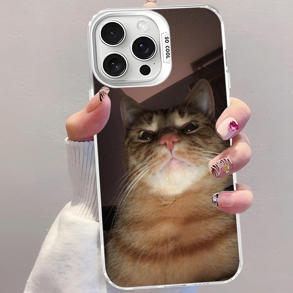 Pet Cat Funny Memes Phone Case For IPhone 16 15 14 13 12 11 Pro Max X XR XSMAX 8 7 Plus Matte Shockproof Back Cover