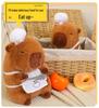 Koch Capybara Plüschtier - Niedliches Stofftier Kissen Geschenk für Kinder & Mädchen