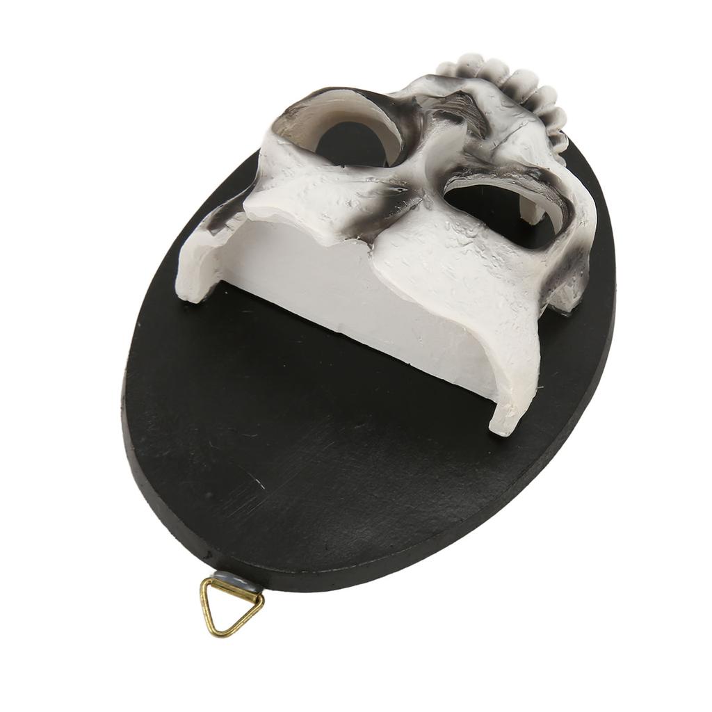 Wall Skull Candle Holder Sturdy Resin Rich Details Hanging Hook Skeleton Candlestick Holder for Party Decoration
