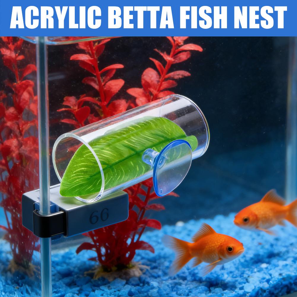 Betta Fish Acrylic Tube Tunnel Hollow Design Fish Tank Decorations For Better Observation Fish Improves Betta's Health