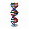 DIY DNA Double Helix Model Kit for Biology Teaching and Science Experiments