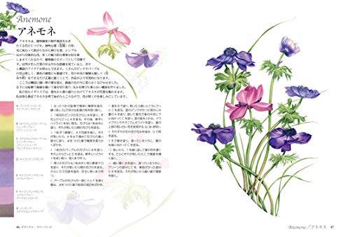 Botanical Color Palette