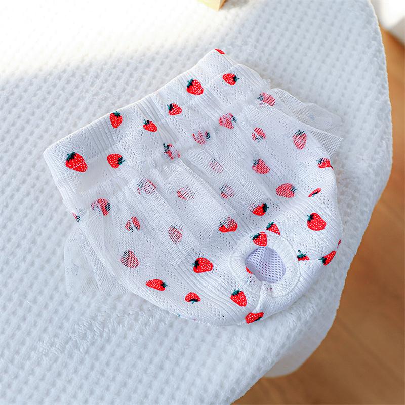 Mädchen Haustier Physiologische Hosen Windeln Einlagen für Hunde Slips für Läufigkeit Hund Unterwäsche Unterhosen Chihuahua Pudel Höschen Shorts