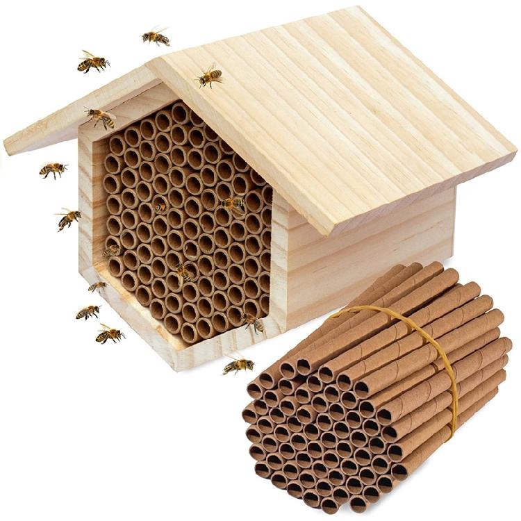 50 Pcs Mason Bee Tube Refills for Beekeepers House Garden Pollinator Bee House