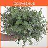 Globulus Eucalyptus Plant Foliage For Home Enhancement Prop Photography
