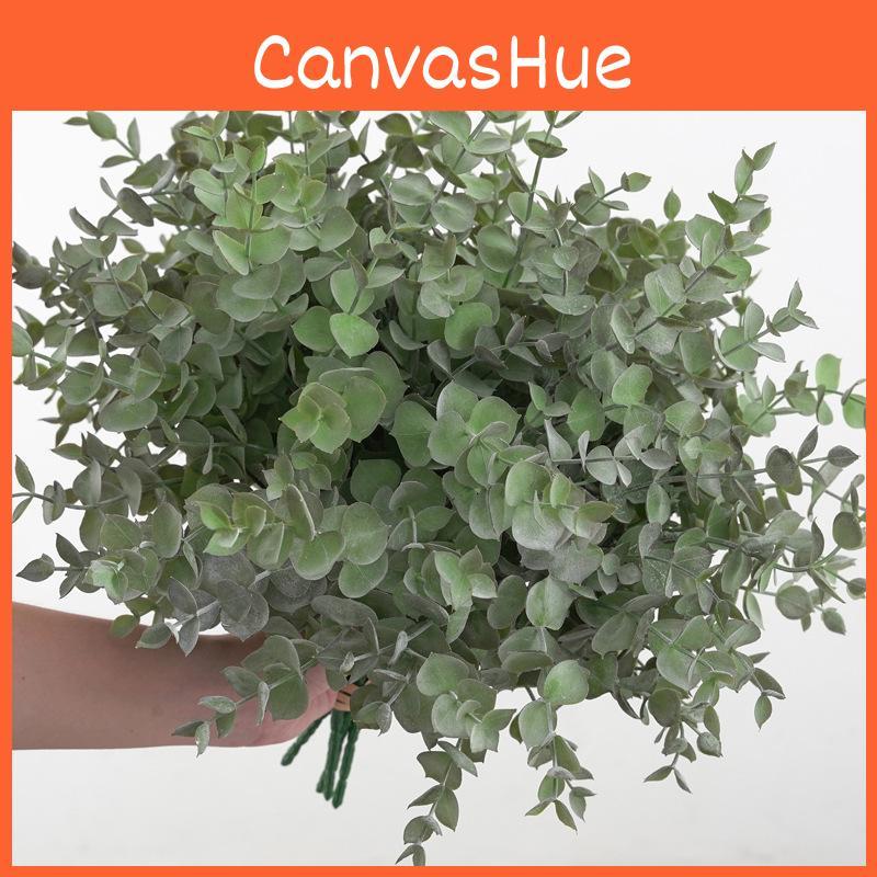 Globulus Eucalyptus Plant Foliage For Home Enhancement Prop Photography