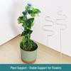 Stainless Steel Indoor Plant Support Frame with Leaf Protector