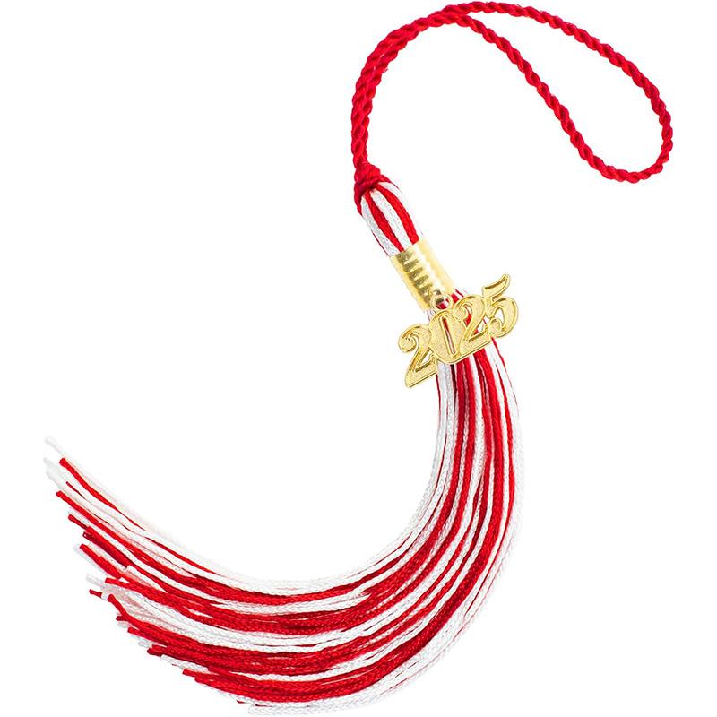 10Pcs Graduation Tassel with Date Mortarboard Tassel Fringe for Graduation Party Decorations Accesorios Graduation Hat Tassel