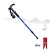 TANERDD Abuda 3-Section Aluminum T-Handle Trekking Pole