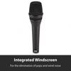 AKG Akage Vocal Supernierenmikrofon P5 S mit Schalter