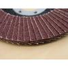 Faithfull Aluminium Oxide Flap Discs