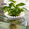 Floating Fish Tank Plant Holder 3D Printed Aquarium Holder, Water Hydroponic Planter Basket, Decor Container Pot, Aquascape Decoration for Plants