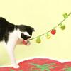 Fruit-Shaped Catnip Toy String Interactive Cat Toy Cat Teaser String with Bell Soft Tomatoes Cat Chew Toy for Indoor Cats Play And Exercise