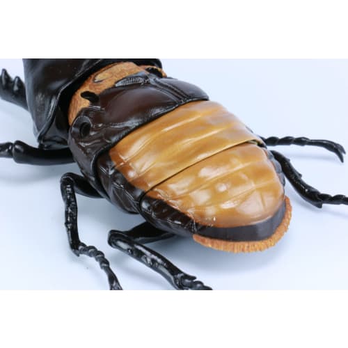 Free Research Series No.26 Living Creatures Edition Hercules Beetle Plastic Model