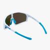 RECLOW Acetate Goggles Sunglasses Sellipa Blue