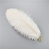 10Pcs 35-40cm Colorful Ostrich Feathers for Crafts Carnival Decoration Table Centerpieces Plume for Vases Handicraft Accessories