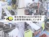 Realize Planning Peyoung Sauce Cutlet 50 Bags X 3 Boxes Snacks,