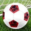 1pc Love Feline Friends Soccer Ball Size 5 Football Machine Sewn Indoor/Outdoor Universal Football Q51