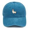 Vintage Adjustable Unisex Vintage Cap for Outdoor Hiking and Mountaineering