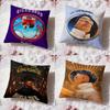 Singer r-Rauw Alejandro Cushion Cover Premium Comfort Reversible Pillow Cove -Two In One Design for Any Room & Car Interior