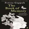 The Book of Memory by Petina Gappah Paperback Book 9780571249916