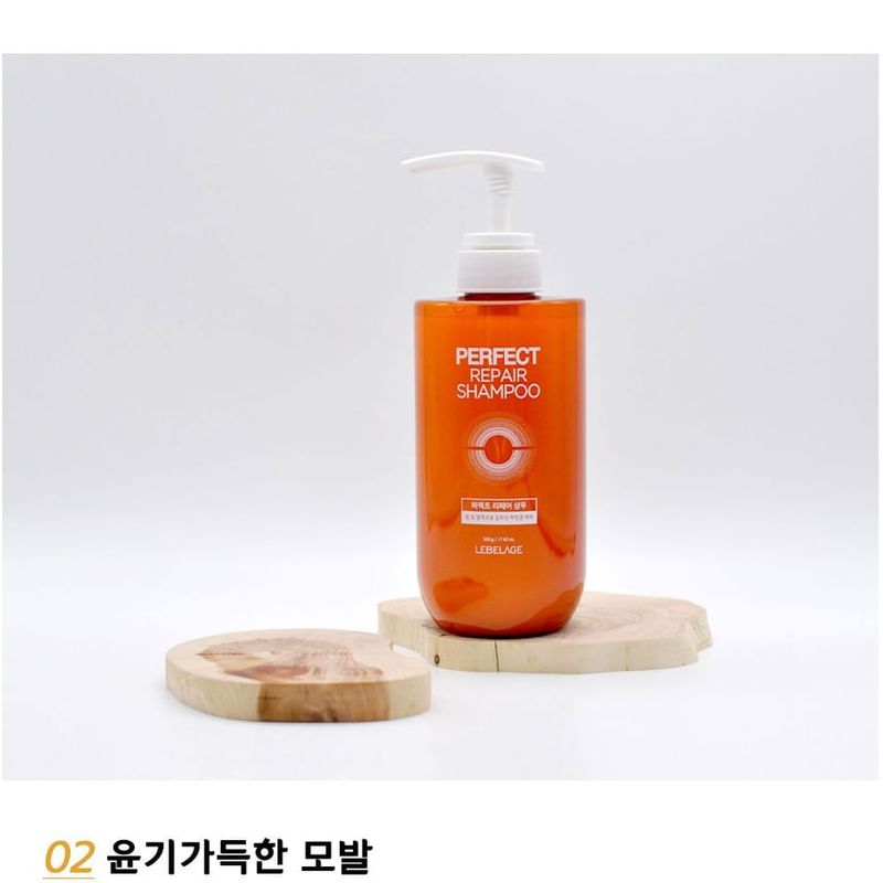 LEBELAGE - Perfect Repair Shampoo