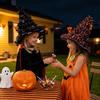Spider Halloween Hat Simulated Wizard Cap Funny Witch Hat  Halloween