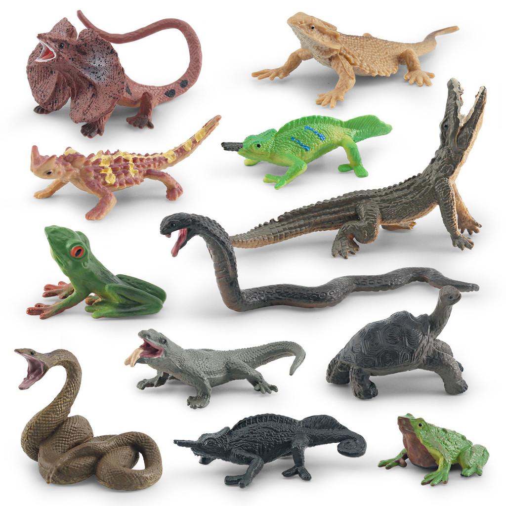 Detailed Pvc Frog Turtle Lizard Snake Chameleon Model Set For Nature Enthusiasts And Collectors