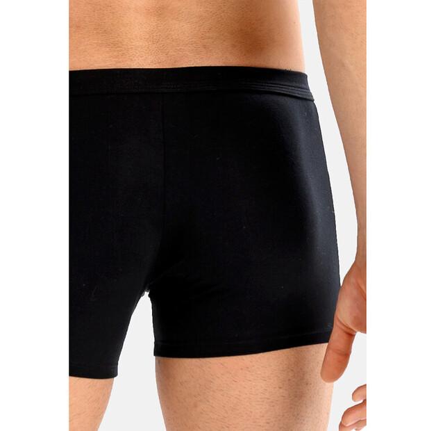 Боксеры Teyli Levi