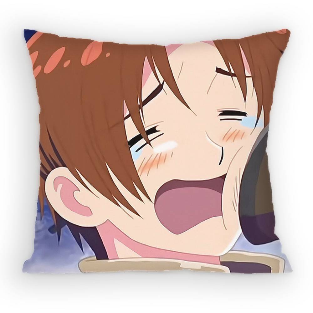 Anime Hetalia World Stars Feliciano Vargas Pillow Case Anti-Dustmite Pillowcase Invisible Silky Short Plush Sofa Cushion Cover